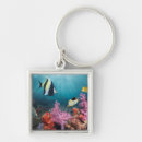 Buscar ídolo accesorios Arrecife de coral