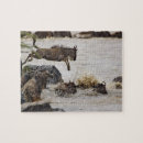 Buscar masai puzzles Migración