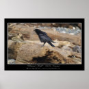 Buscar llamada posters Animales