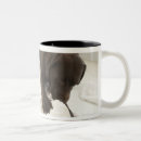 Buscar cuarto de baño tazas Blanco
