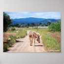 Buscar mula posters Animal