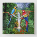 Buscar loros relojes de pared Selva