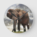 Buscar elefante africano relojes de pared Foto