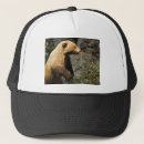 Buscar moreno negro gorras Fuerza