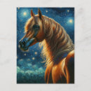 Buscar caballo árabe postales Equino