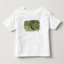 Buscar cuerpo completo camisetas Flor silvestre