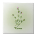 Buscar tomillo azulejos Verde