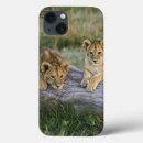 Buscar pico ipad fundas África