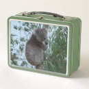 Buscar koala del amor Para niños