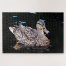 Buscar malla puzzles Agua