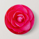 Buscar dali chapas Rosa