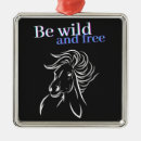 Buscar caballos salvajes adornos Para niños