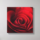 Buscar aroma arte Flor