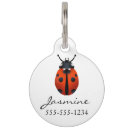 Buscar insecto collares Naturaleza
