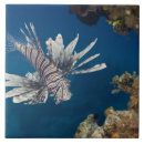 Buscar encima de azulejos Horizontal