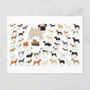 Buscar razas postales Animal