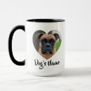 Buscar perro tazas Para mascotas