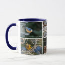 Buscar corral tazas Aves de corral