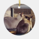 Buscar gatos siameses adornos Azul