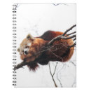 Buscar panda cuadernos Árbol