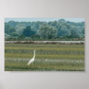 Buscar papel de arroz posters Campo