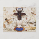 Buscar insectos postales Mariposas