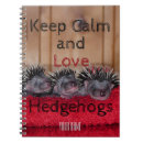 Buscar erizos cuadernos Lindo