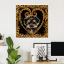 Buscar poo posters De yorkie poo