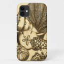 Buscar estante iphone fundas Algas