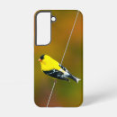 Buscar americano samsung fundas Pájaro