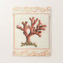Buscar mar de coral puzzles Concha