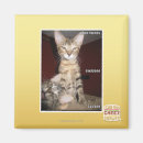 Buscar idiotas imanes Puedo tener cheezburger