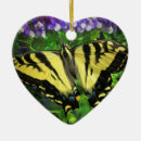 Buscar mariposas negras adornos Jardín