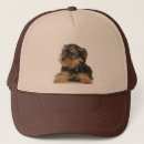 Buscar yorkshire gorras Terrier de yorkshire