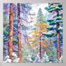 Buscar madera de pino posters General y unisex