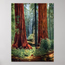 Buscar illustrations posters Nature