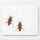 Buscar cucaracha alfombrillas de raton Insecto
