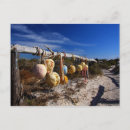 Buscar boya postales Playa