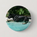 Buscar perro de agua chapas Sacudida y pam langrish