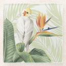 Buscar pájaros posavasos Colorido