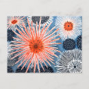 Buscar erizos de mar postales Océano