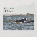 Buscar punto de cruz postales Océano