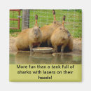 Buscar capybara imanes Divertido