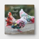 Buscar palomas placas fotograbadas General y unisex