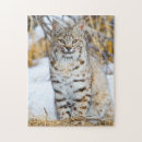 Buscar lince puzzles Superstock