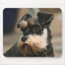 Buscar schnauzer alfombrillas de raton Lindo