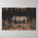 Buscar rinoceronte arte Vida silvestre