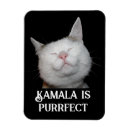 Buscar perfecto imanes Gatito