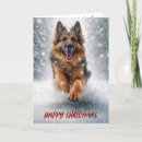 Buscar german shepherd tarjetas Perro