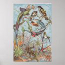 Buscar aviar posters Pájaros